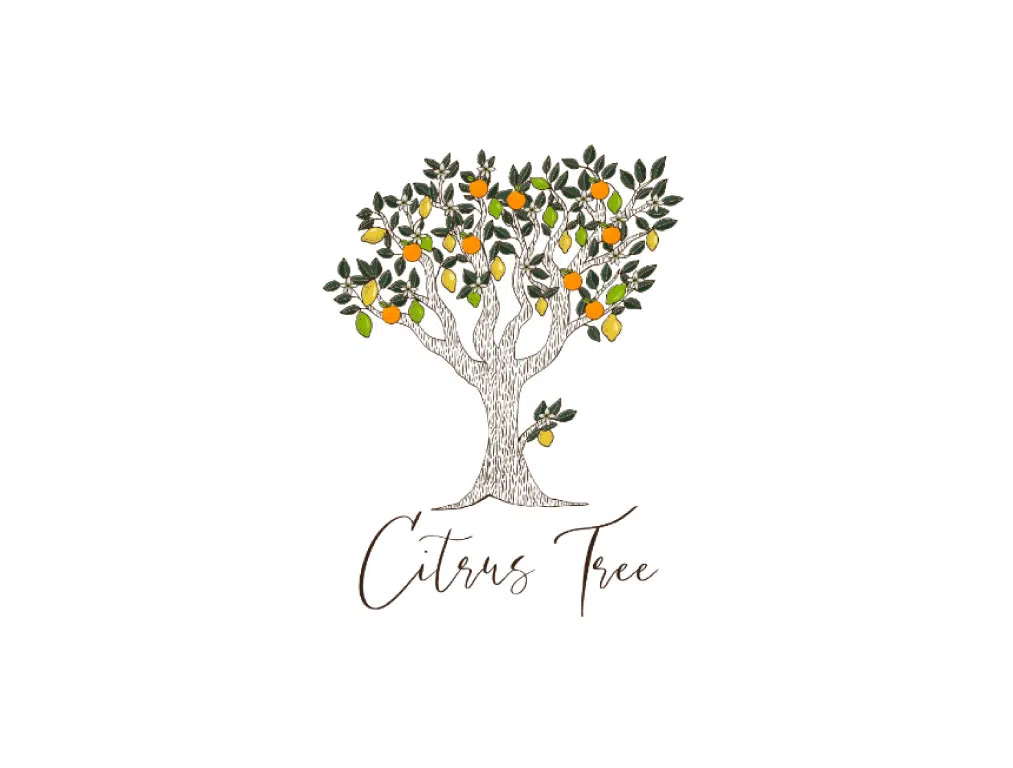 logo design before citrus tree eco candles