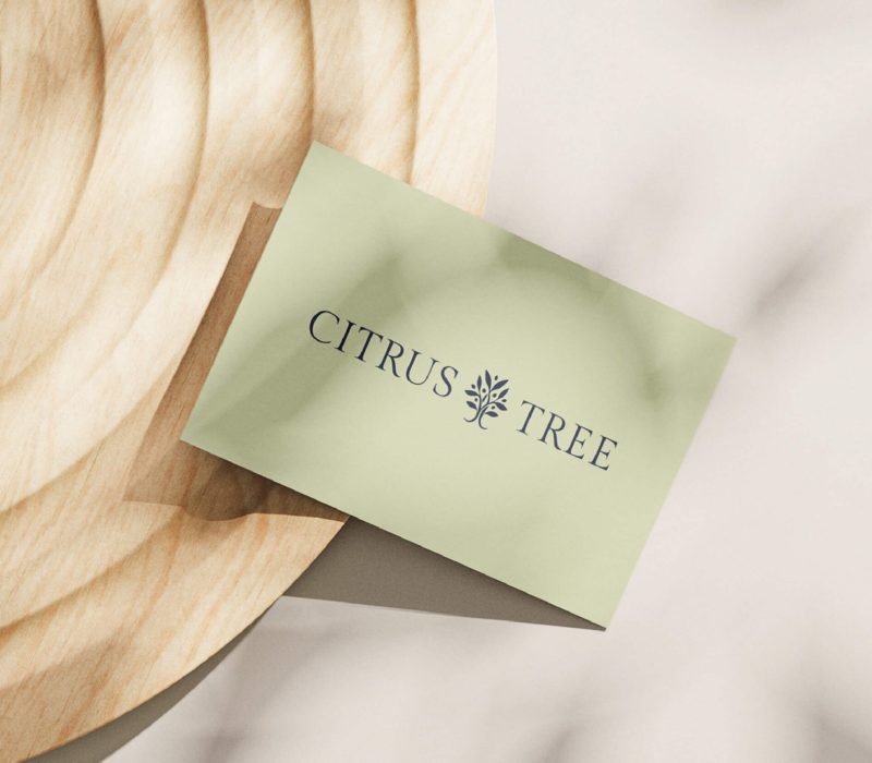 eco candles brand logo